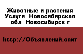 Животные и растения Услуги. Новосибирская обл.,Новосибирск г.